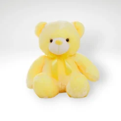 Ours en peluche qui s'illumine
