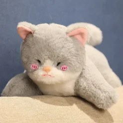 Peluche chat croisé avec un requin