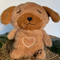 Peluche chien veilleuse douce nuit apaisante enfant
