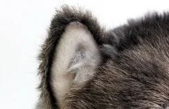 Peluche loup petit et mignon