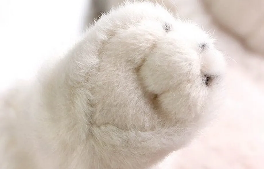 Peluche loup petit et mignon