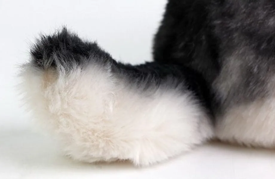 Peluche loup petit et mignon