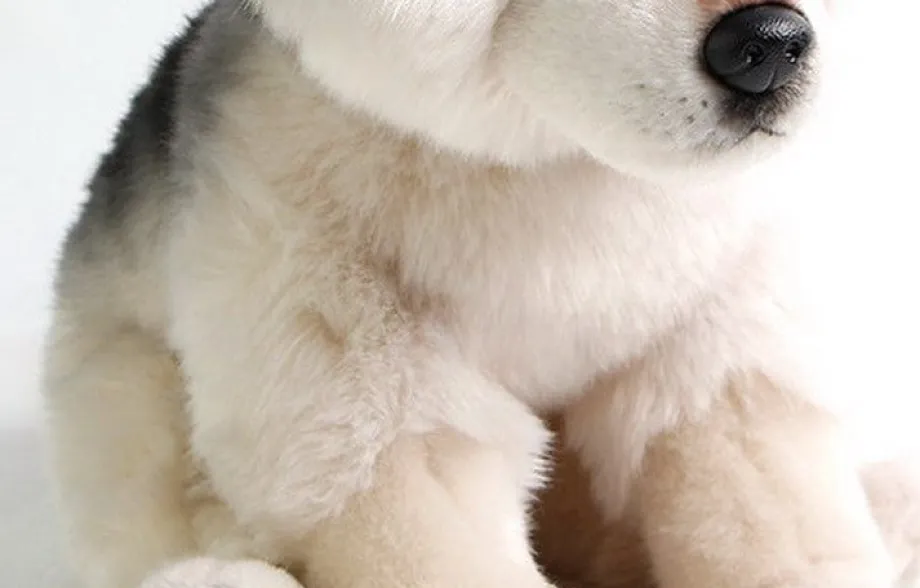 Peluche loup petit et mignon