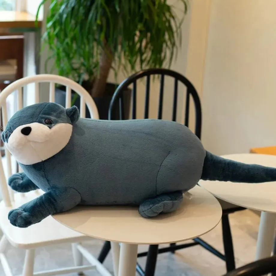 Peluche loutre coloré